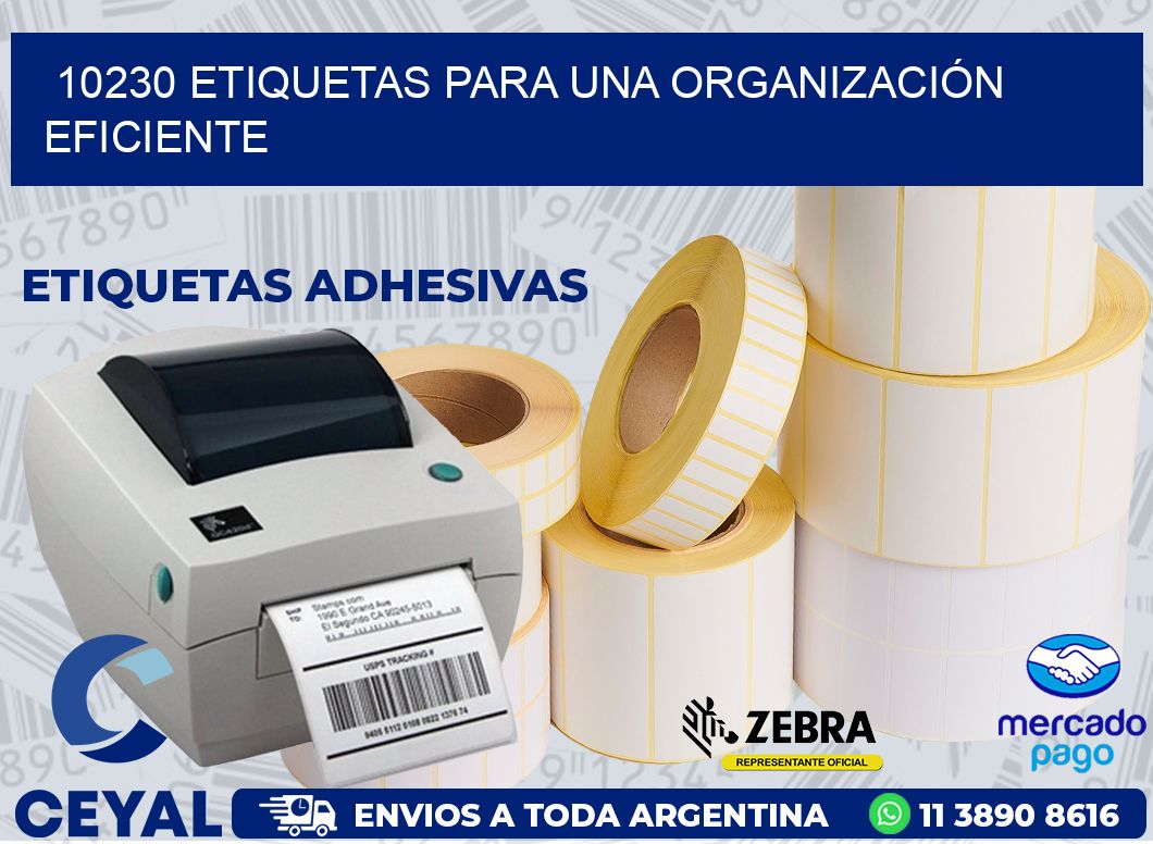 10230 ETIQUETAS PARA UNA ORGANIZACIÓN EFICIENTE