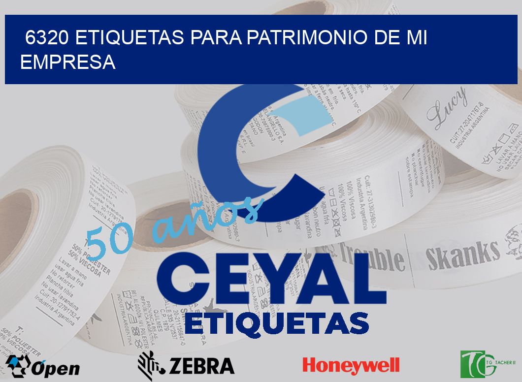 6320 ETIQUETAS PARA PATRIMONIO DE MI EMPRESA