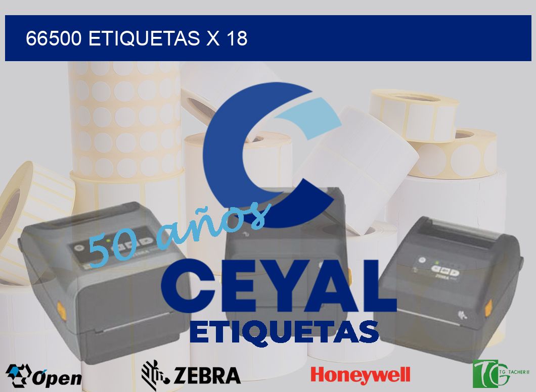 66500 Etiquetas x 18