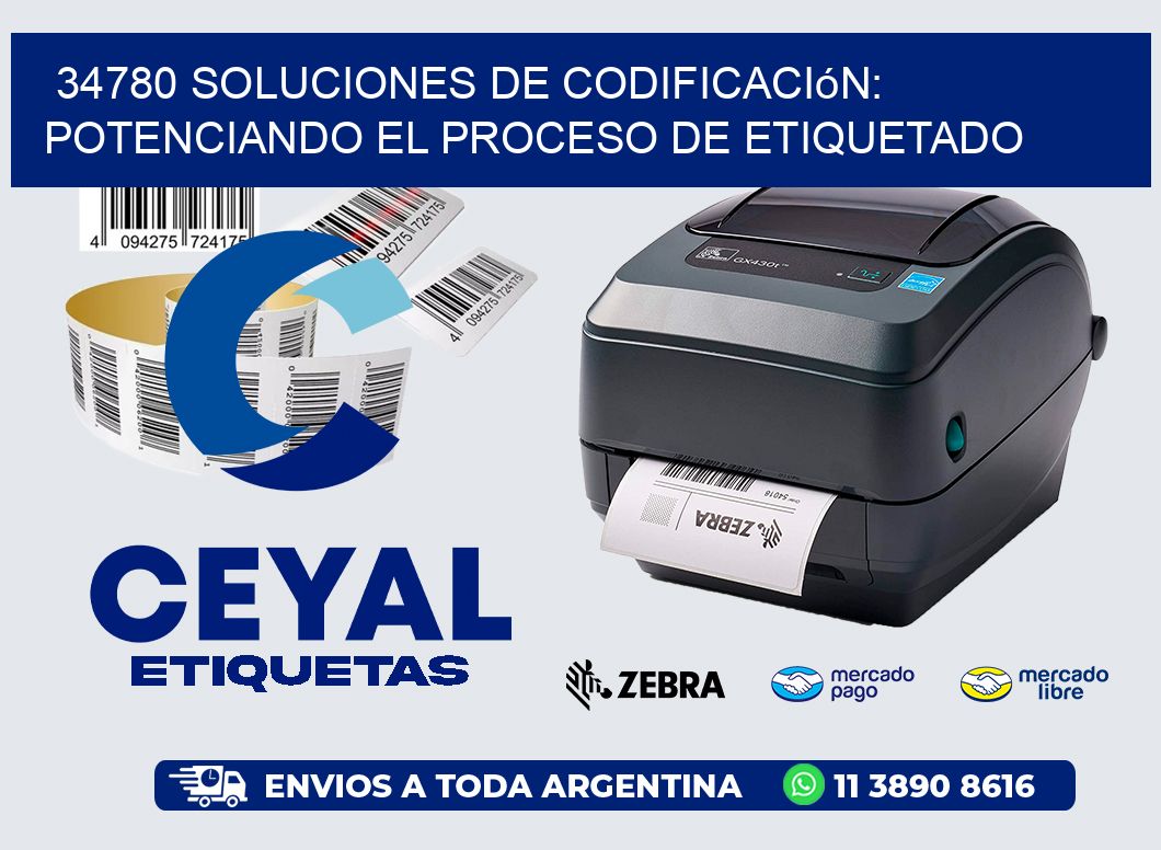 34780 Soluciones de Codificación: Potenciando el Proceso de Etiquetado