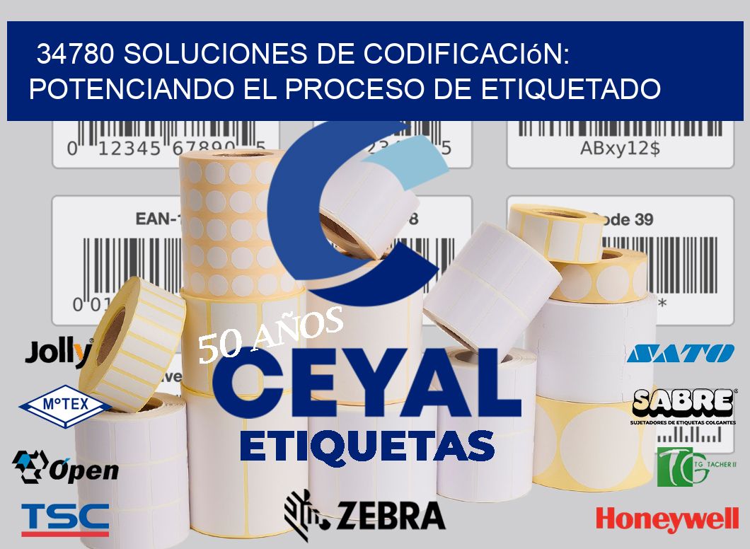 34780 Soluciones de Codificación: Potenciando el Proceso de Etiquetado