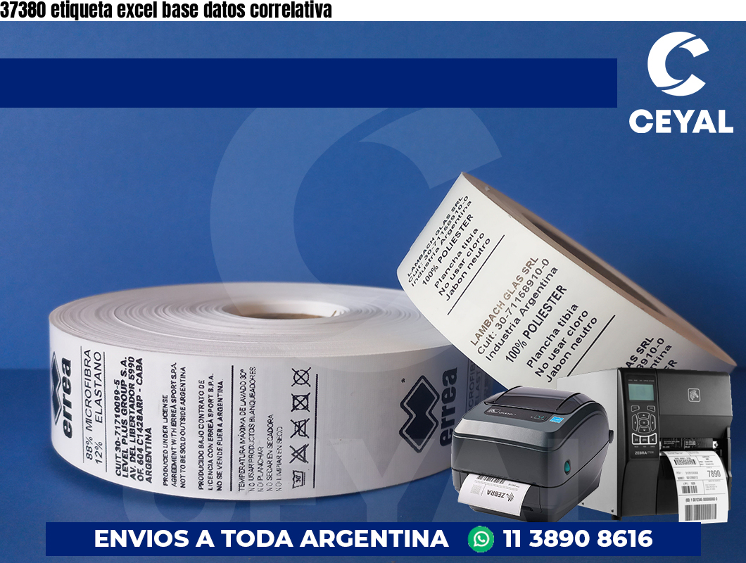 37380 etiqueta excel base datos correlativa