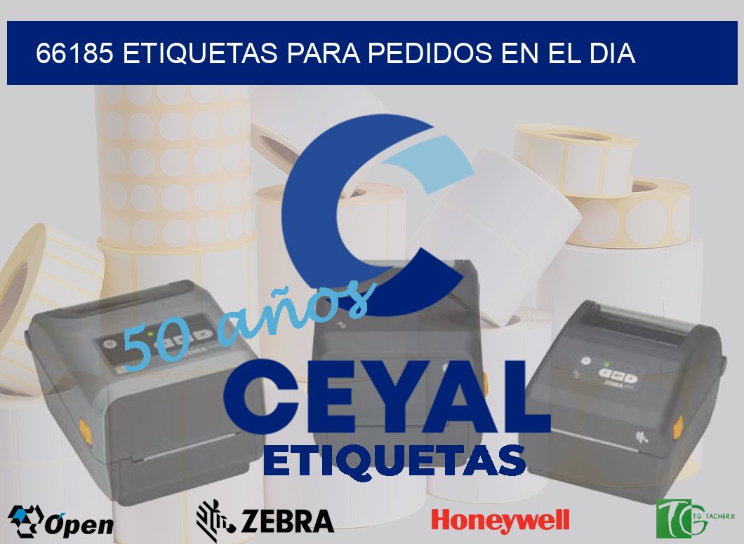 66185 ETIQUETAS PARA PEDIDOS EN EL DIA