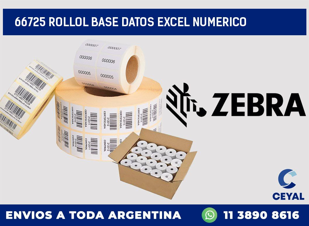 66725 rollol base datos excel numerico