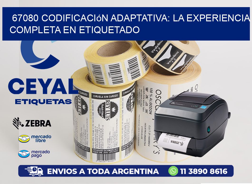 67080 Codificación Adaptativa: La Experiencia Completa en Etiquetado