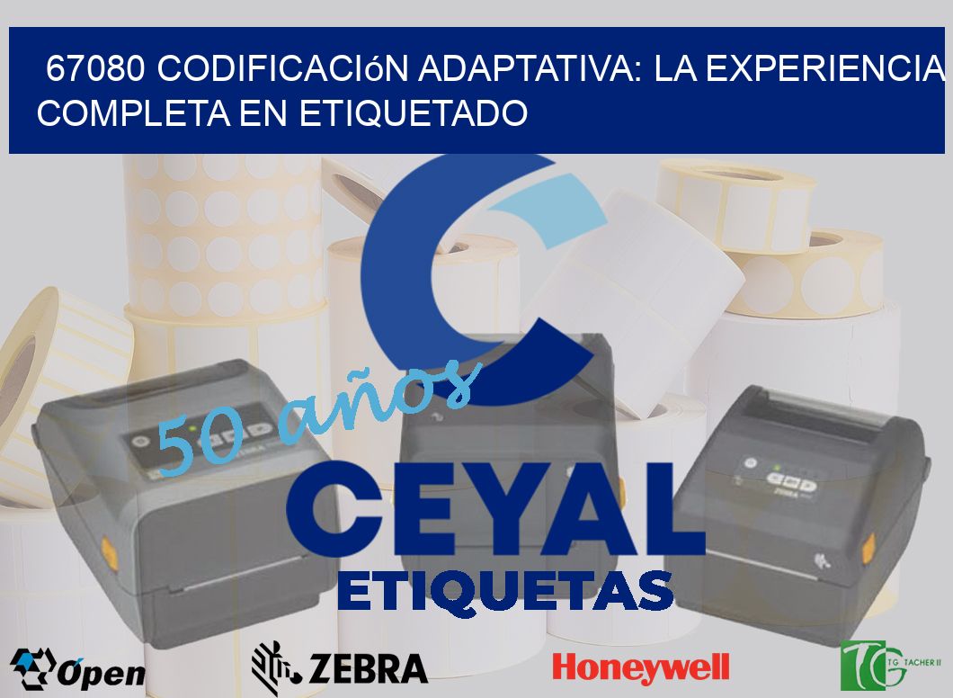 67080 Codificación Adaptativa: La Experiencia Completa en Etiquetado