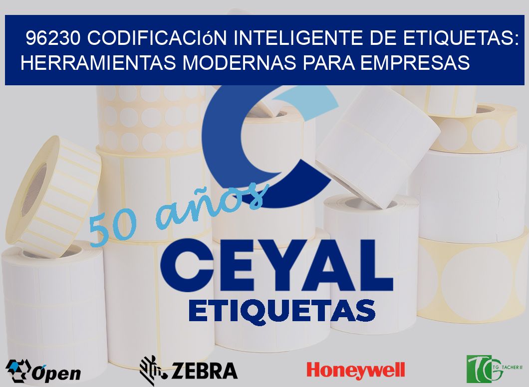 96230 Codificación Inteligente de Etiquetas: Herramientas Modernas para Empresas