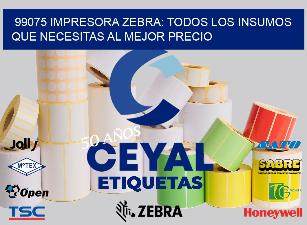 99075 IMPRESORA ZEBRA: TODOS LOS INSUMOS QUE NECESITAS AL MEJOR PRECIO