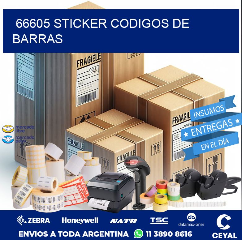 66605 STICKER CODIGOS DE BARRAS