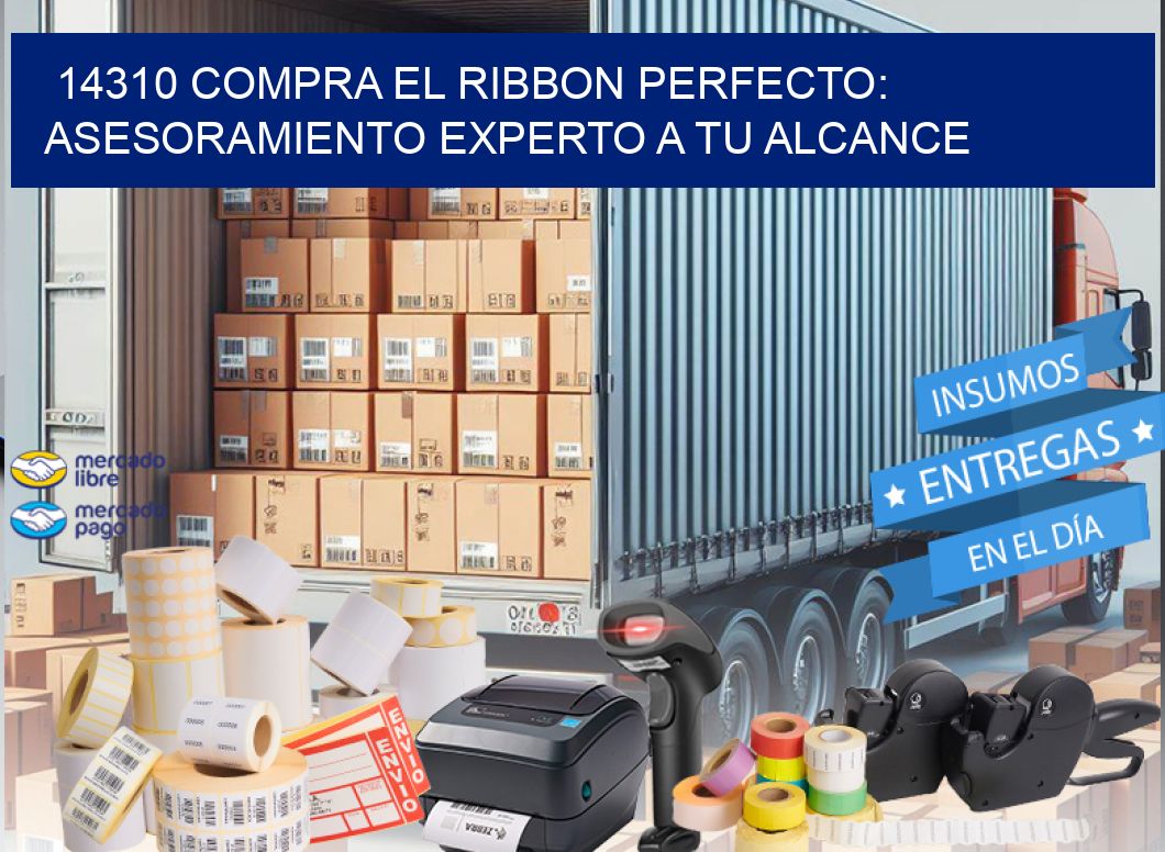 14310 COMPRA EL RIBBON PERFECTO: ASESORAMIENTO EXPERTO A TU ALCANCE