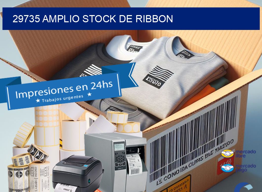 29735 AMPLIO STOCK DE RIBBON