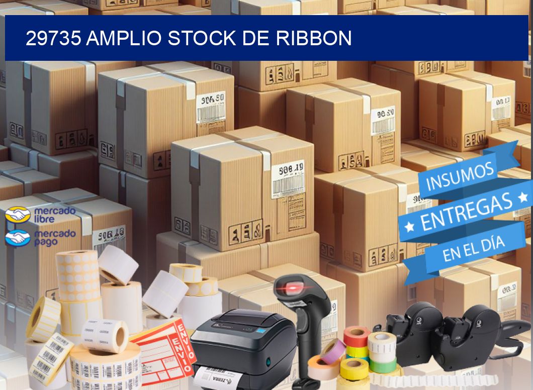 29735 AMPLIO STOCK DE RIBBON