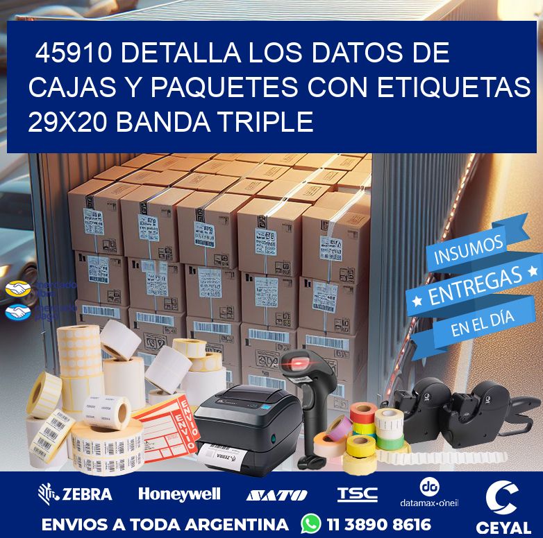 45910 DETALLA LOS DATOS DE CAJAS Y PAQUETES CON ETIQUETAS 29X20 BANDA TRIPLE