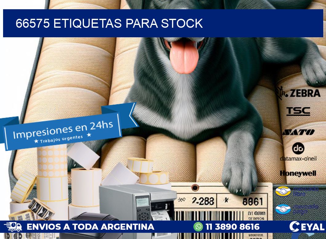66575 ETIQUETAS PARA STOCK
