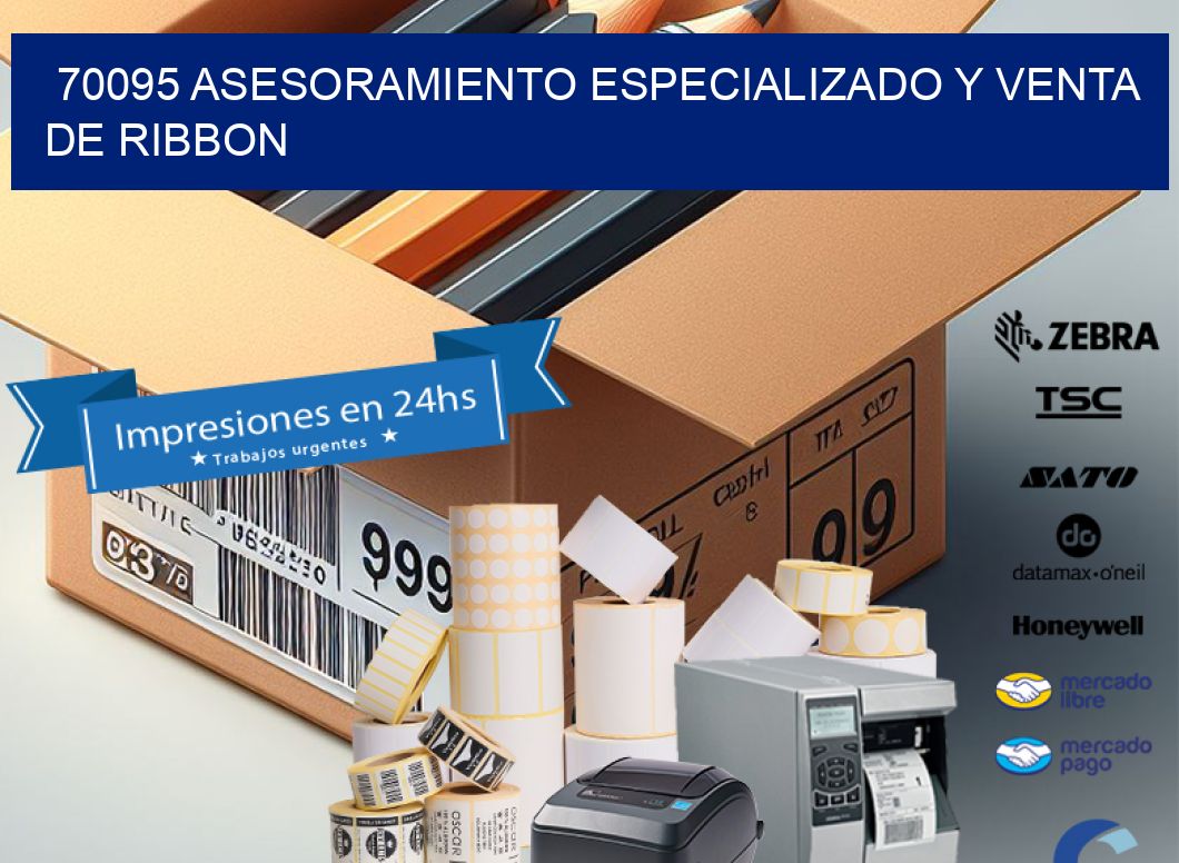 70095 ASESORAMIENTO ESPECIALIZADO Y VENTA DE RIBBON