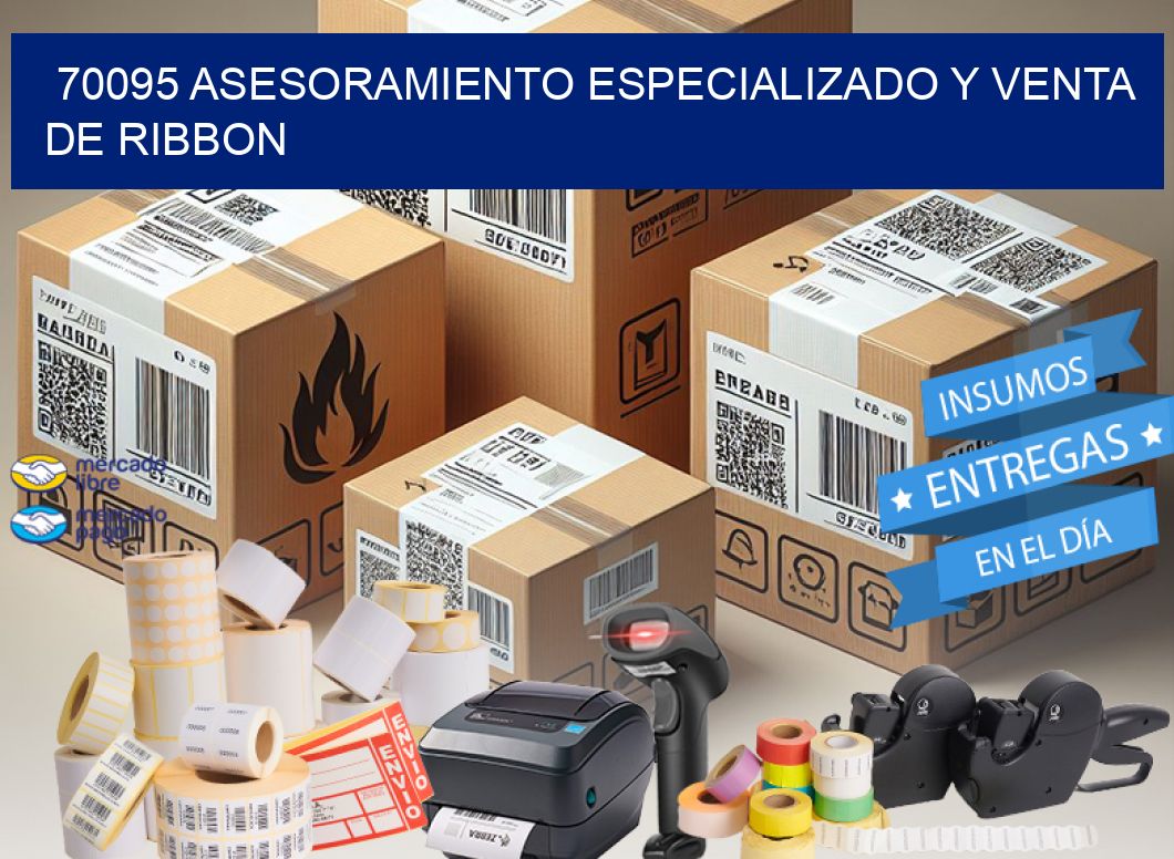 70095 ASESORAMIENTO ESPECIALIZADO Y VENTA DE RIBBON