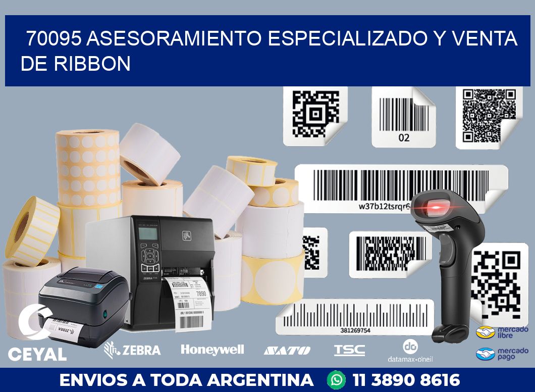 70095 ASESORAMIENTO ESPECIALIZADO Y VENTA DE RIBBON