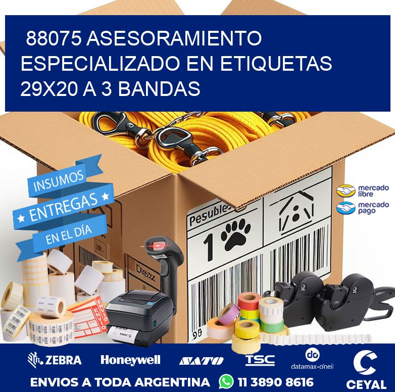 88075 ASESORAMIENTO ESPECIALIZADO EN ETIQUETAS 29X20 A 3 BANDAS