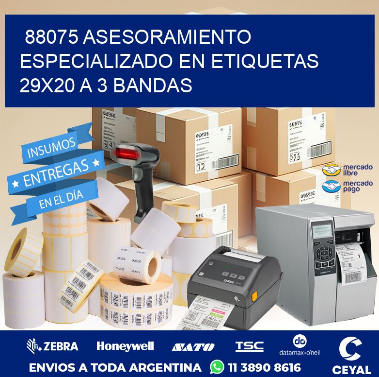 88075 ASESORAMIENTO ESPECIALIZADO EN ETIQUETAS 29X20 A 3 BANDAS