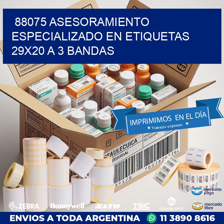 88075 ASESORAMIENTO ESPECIALIZADO EN ETIQUETAS 29X20 A 3 BANDAS