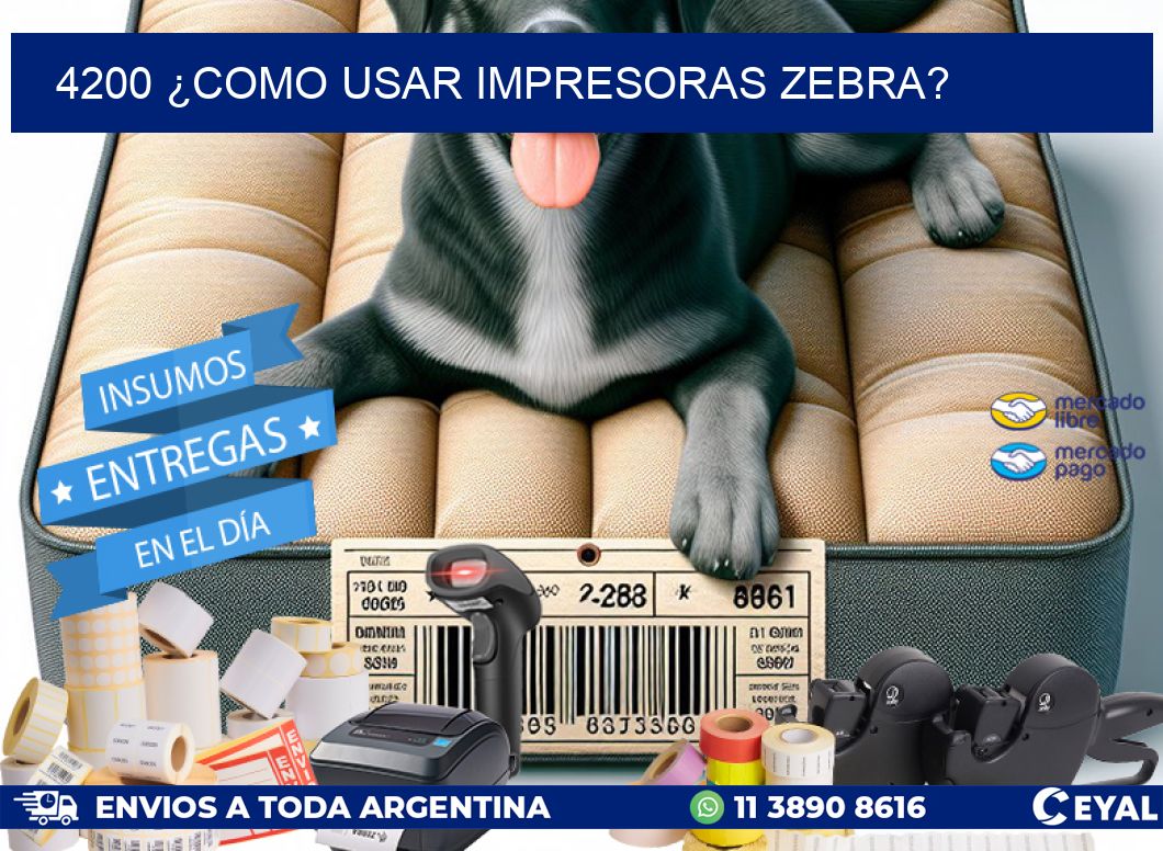 4200 ¿COMO USAR IMPRESORAS ZEBRA?