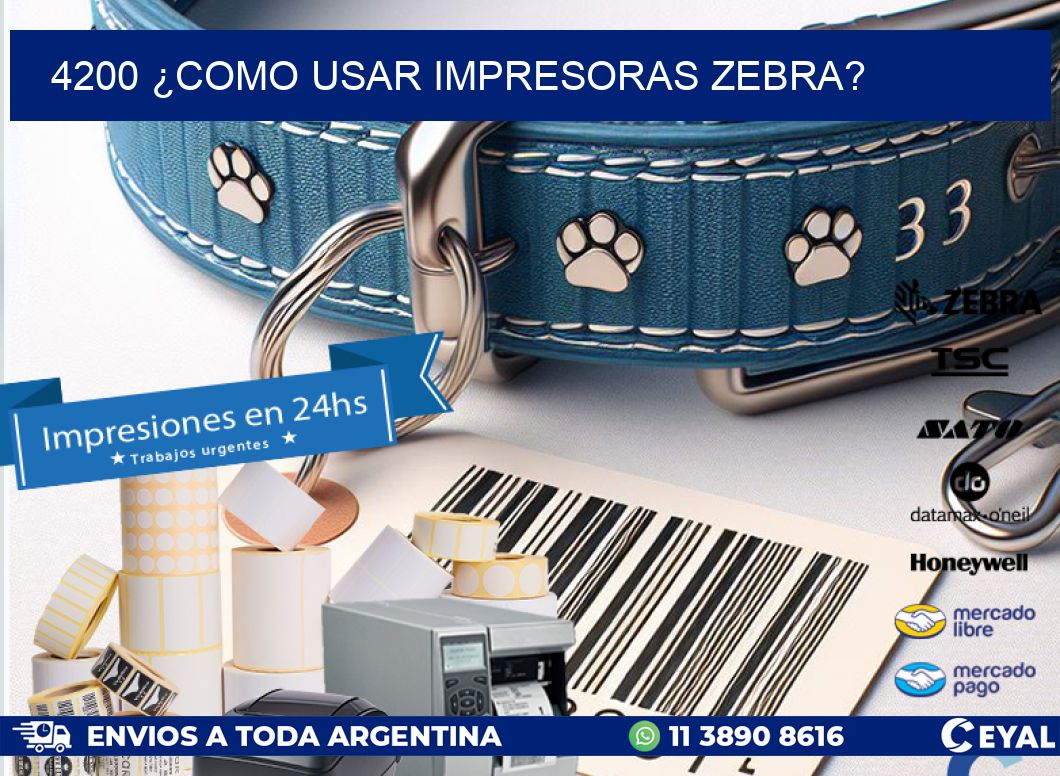 4200 ¿COMO USAR IMPRESORAS ZEBRA?