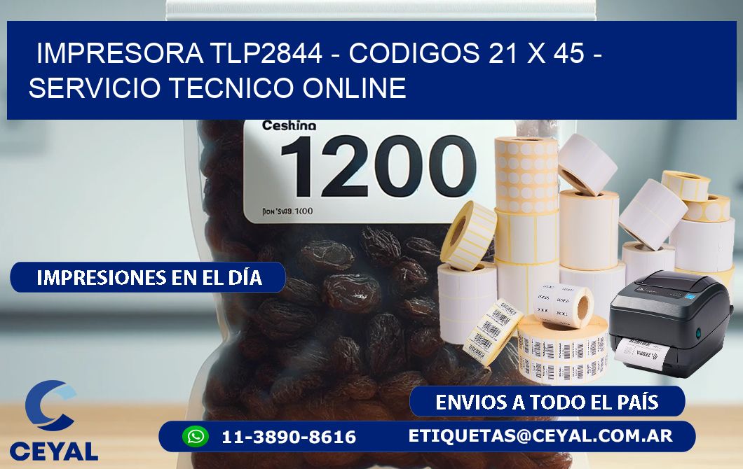IMPRESORA TLP2844 - CODIGOS 21 x 45 - SERVICIO TECNICO ONLINE