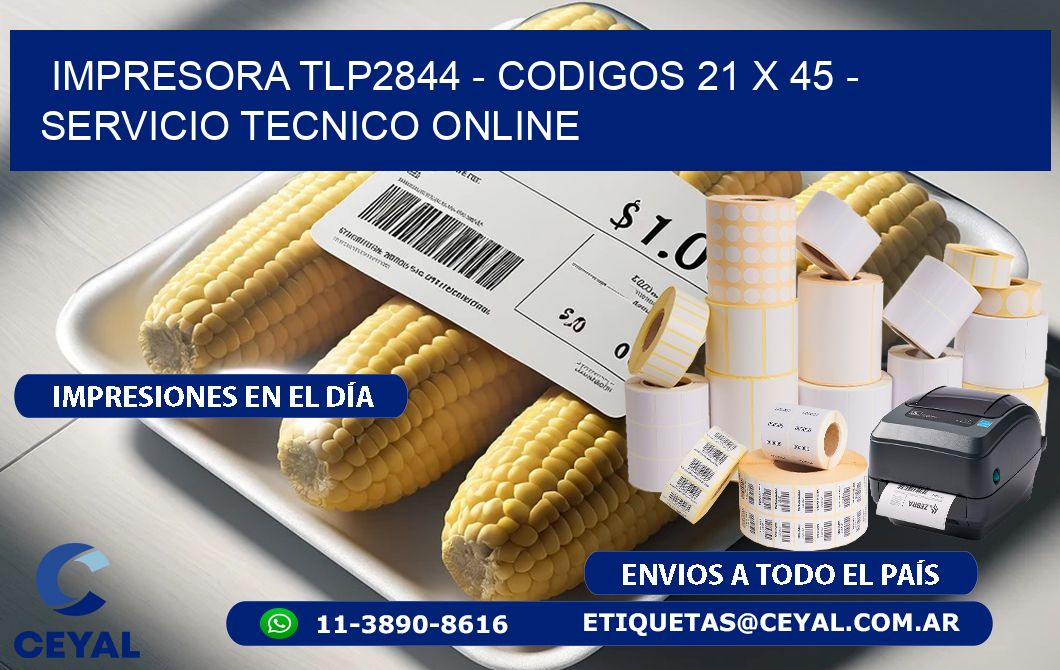 IMPRESORA TLP2844 - CODIGOS 21 x 45 - SERVICIO TECNICO ONLINE