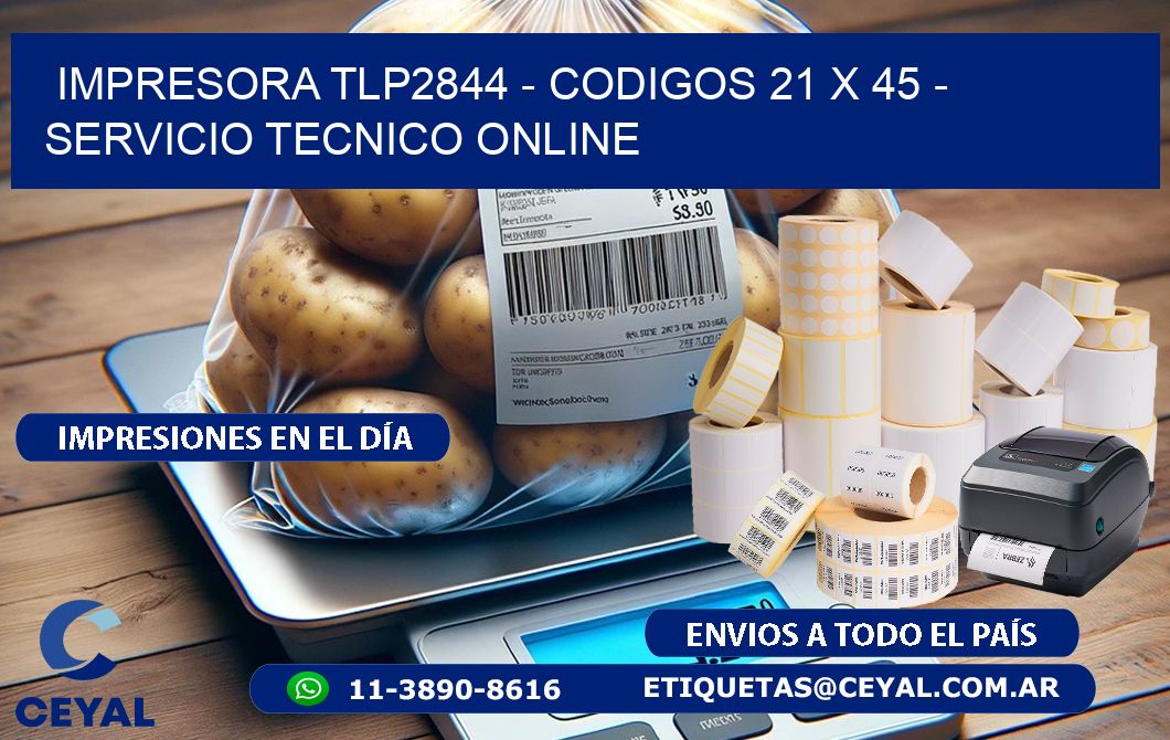IMPRESORA TLP2844 - CODIGOS 21 x 45 - SERVICIO TECNICO ONLINE