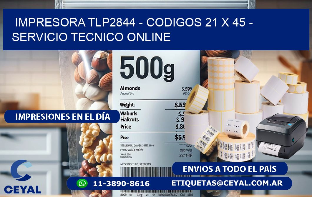 IMPRESORA TLP2844 - CODIGOS 21 x 45 - SERVICIO TECNICO ONLINE