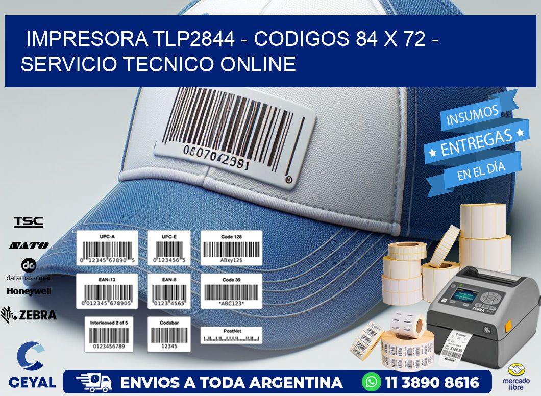 IMPRESORA TLP2844 - CODIGOS 84 x 72 - SERVICIO TECNICO ONLINE