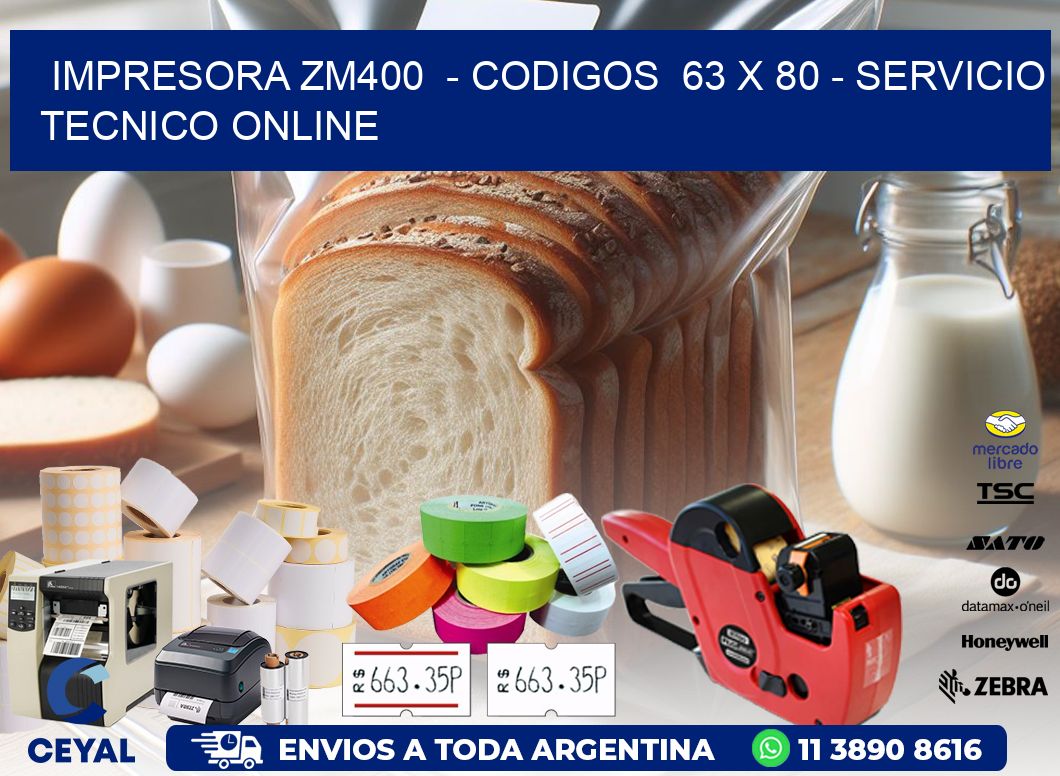 IMPRESORA ZM400  - CODIGOS  63 x 80 - SERVICIO TECNICO ONLINE