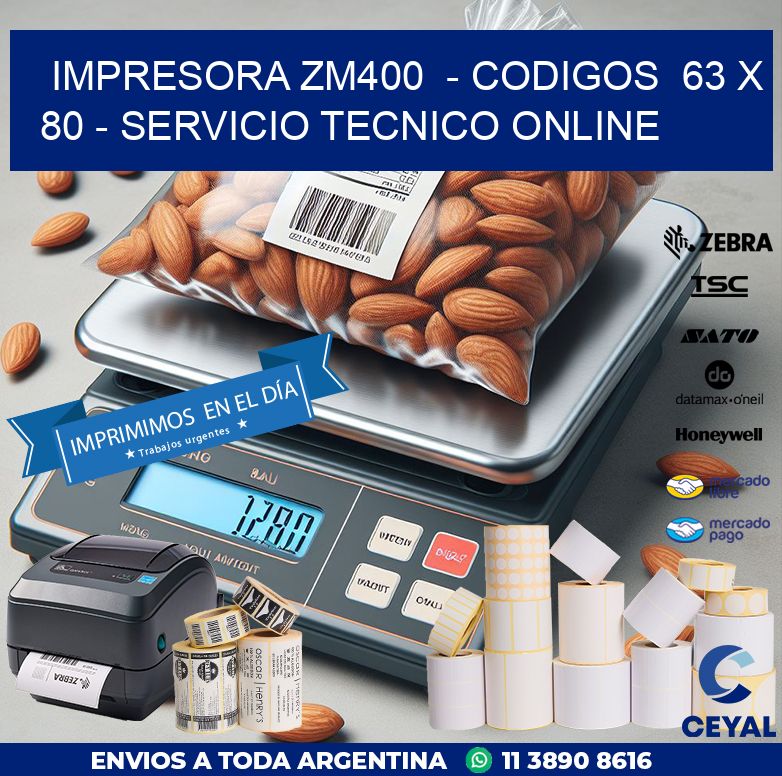 IMPRESORA ZM400  – CODIGOS  63 x 80 – SERVICIO TECNICO ONLINE