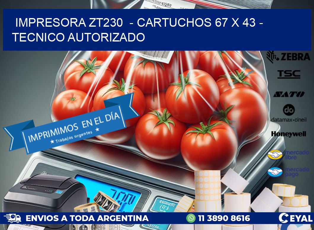 IMPRESORA ZT230 - CARTUCHOS 67 x 43 - TECNICO AUTORIZADO