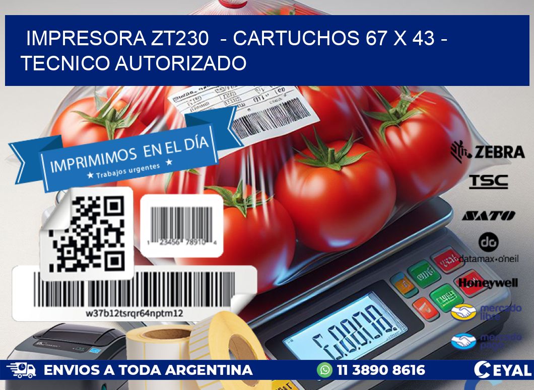 IMPRESORA ZT230 - CARTUCHOS 67 x 43 - TECNICO AUTORIZADO