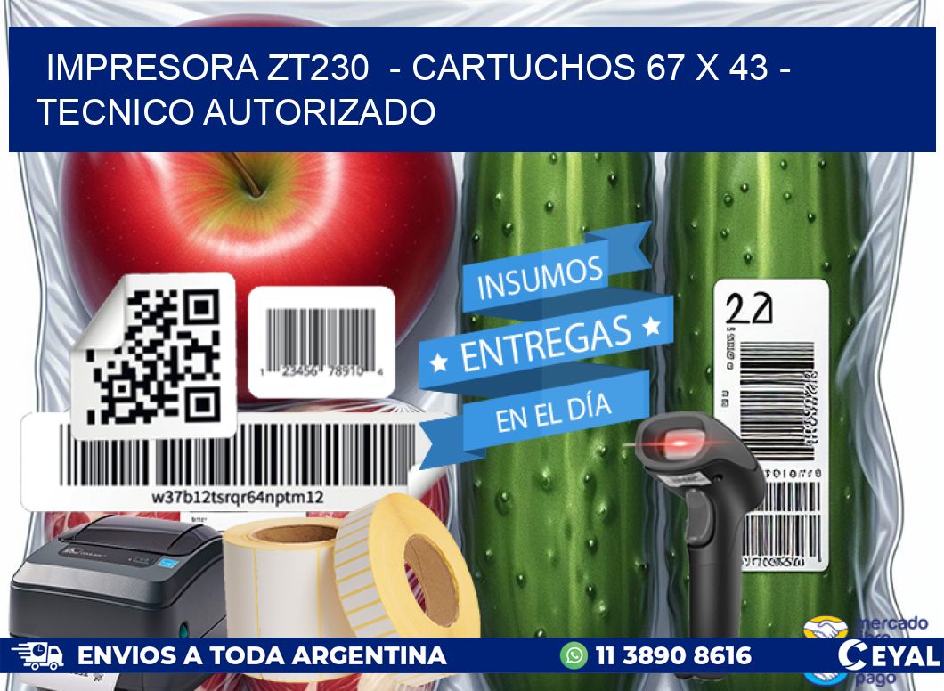 IMPRESORA ZT230 - CARTUCHOS 67 x 43 - TECNICO AUTORIZADO