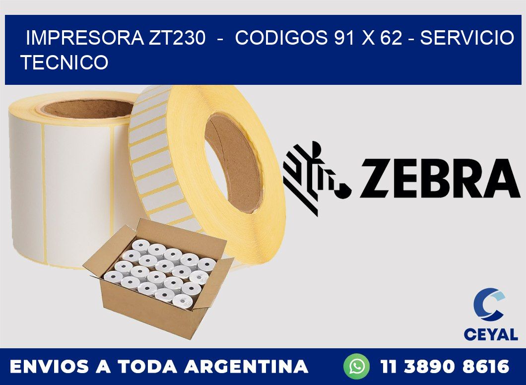 IMPRESORA ZT230 - CODIGOS 91 x 62 - SERVICIO TECNICO