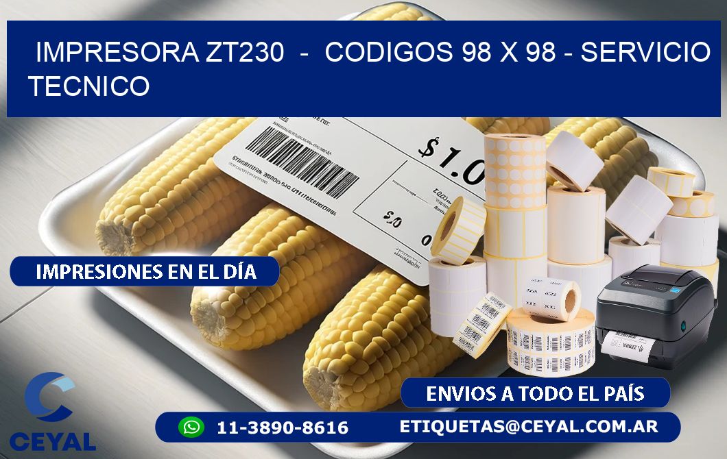 IMPRESORA ZT230  -  CODIGOS 98 x 98 - SERVICIO TECNICO