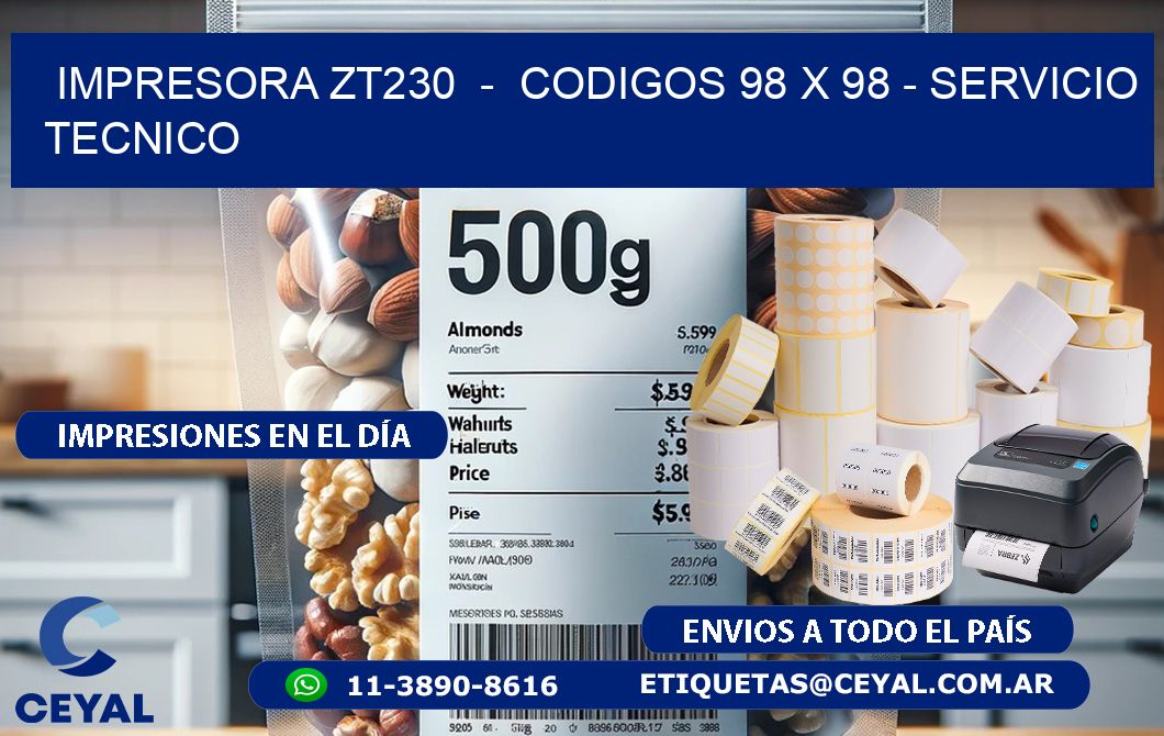 IMPRESORA ZT230  -  CODIGOS 98 x 98 - SERVICIO TECNICO