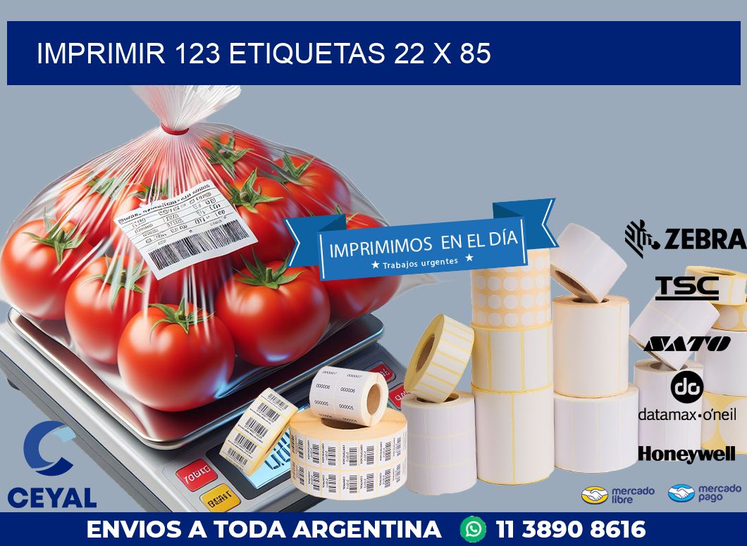 IMPRIMIR 123 ETIQUETAS 22 x 85
