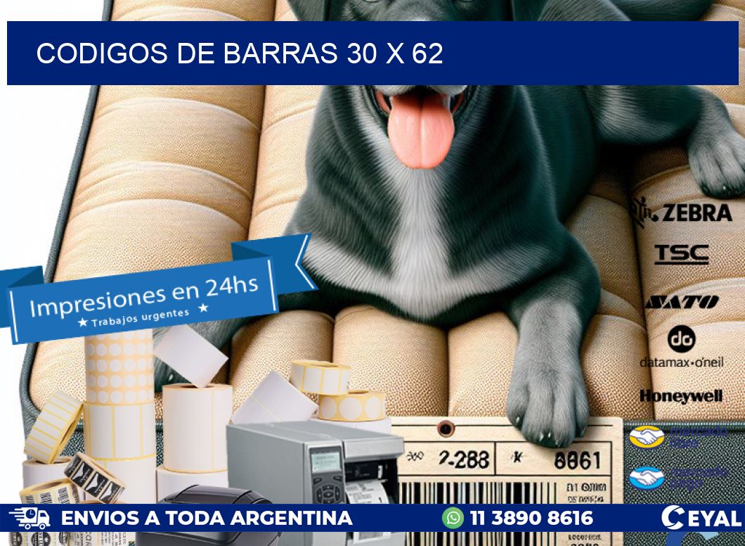codigos de barras 30 x 62