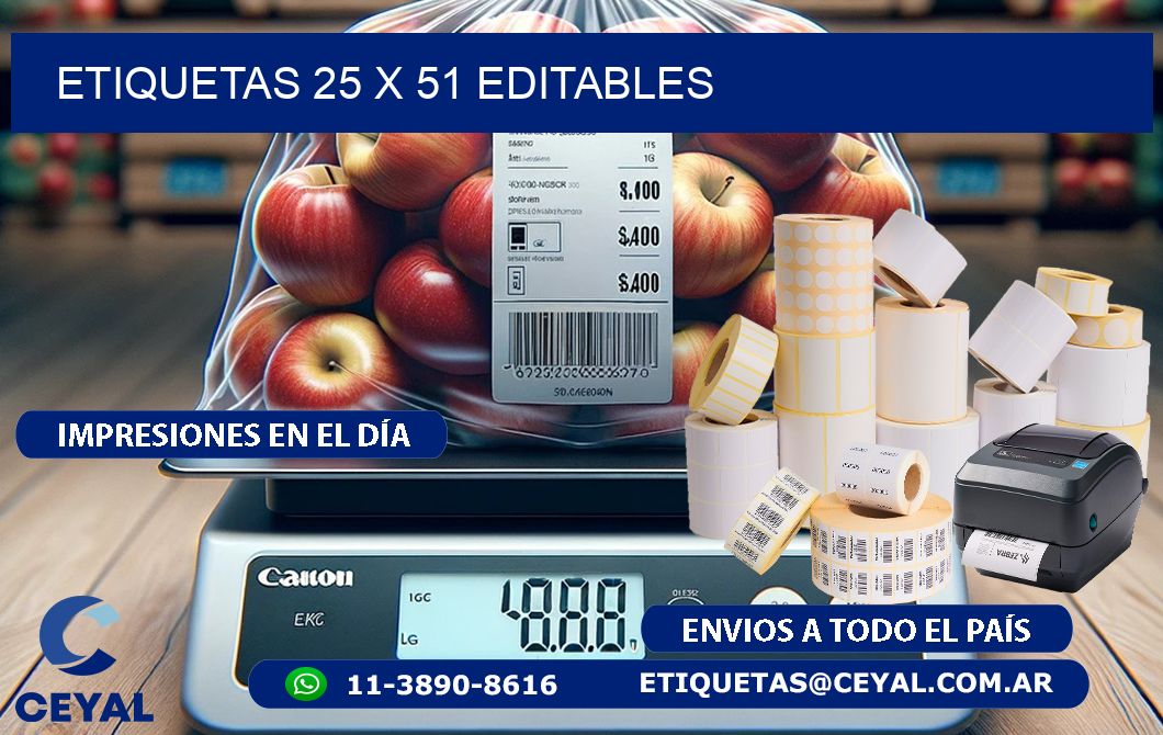 ETIQUETAS 25 x 51 EDITABLES