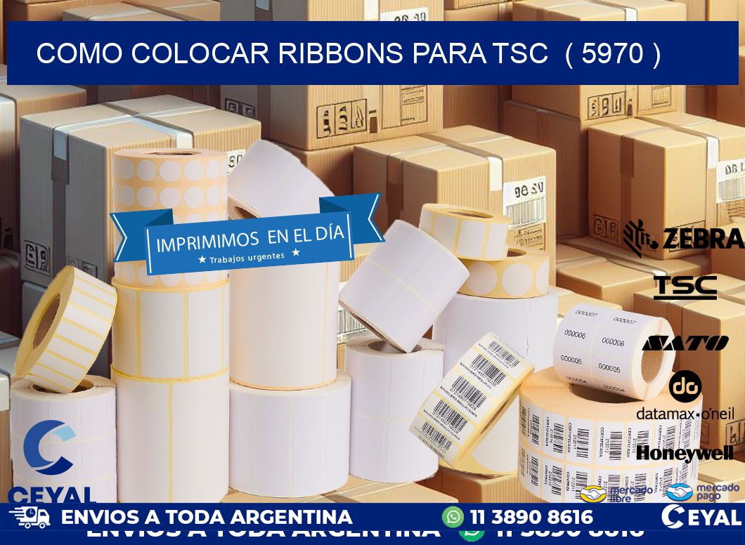 COMO COLOCAR RIBBONS PARA TSC ( 5970 )