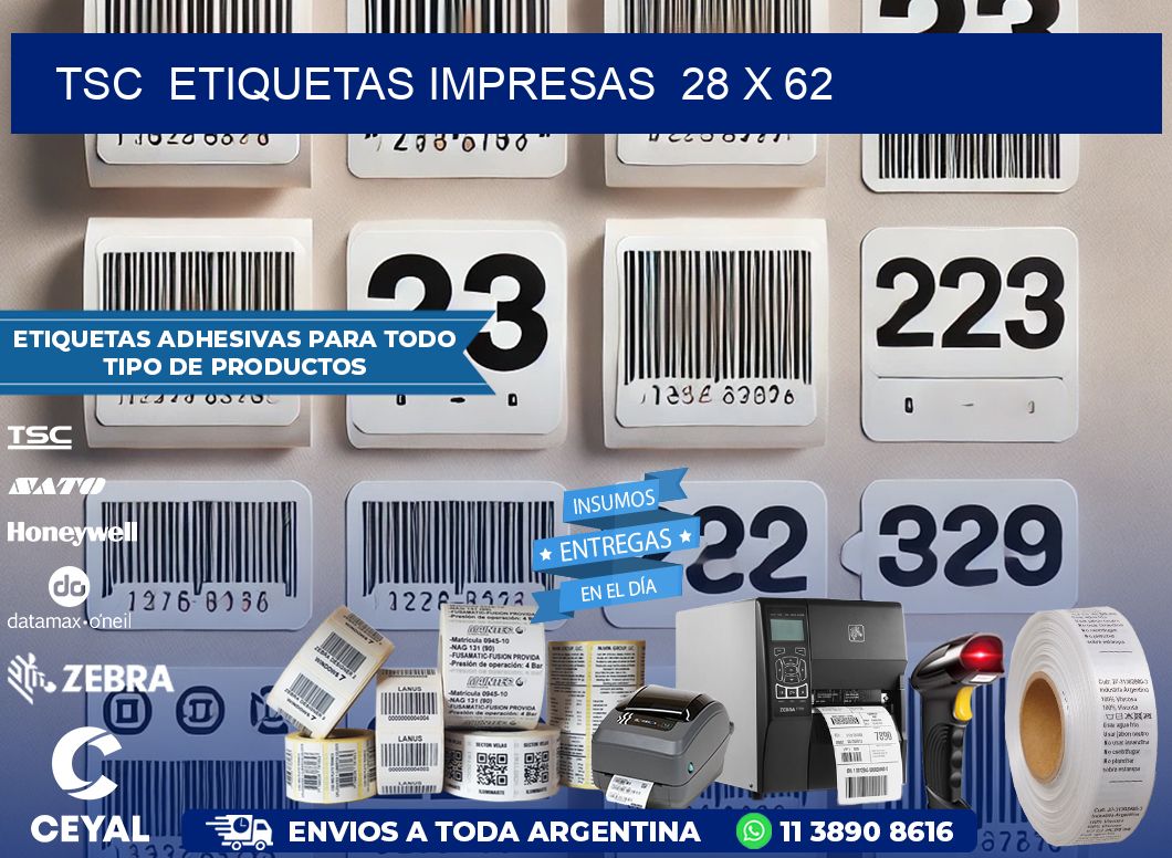 TSC ETIQUETAS IMPRESAS 28 x 62