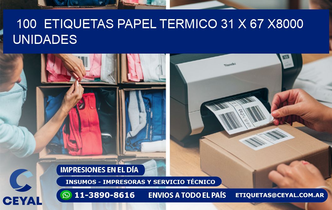 100 ETIQUETAS PAPEL TERMICO 31 x 67 X8000 UNIDADES