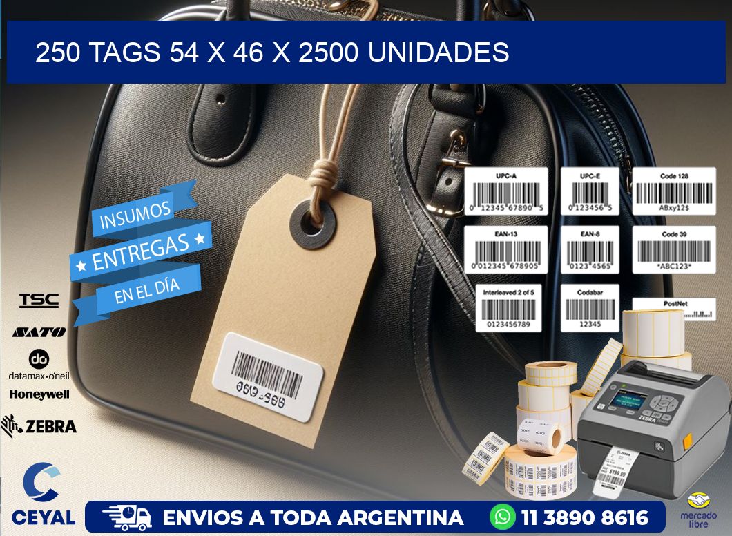 250 TAGS 54 x 46 X 2500 UNIDADES