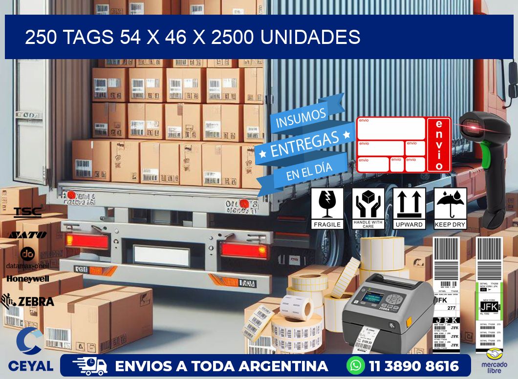 250 TAGS 54 x 46 X 2500 UNIDADES