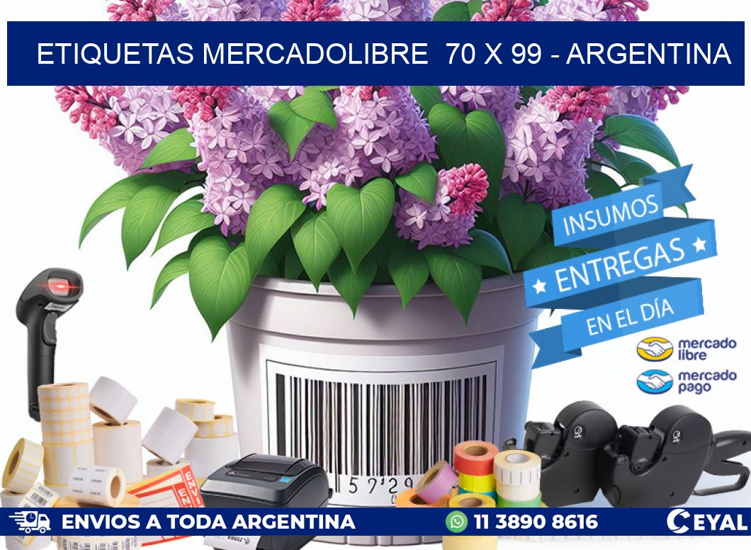 ETIQUETAS MERCADOLIBRE 70 x 99 - ARGENTINA