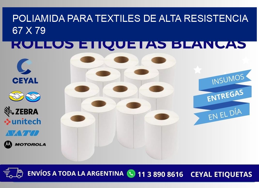 POLIAMIDA PARA TEXTILES DE ALTA RESISTENCIA 67 x 79