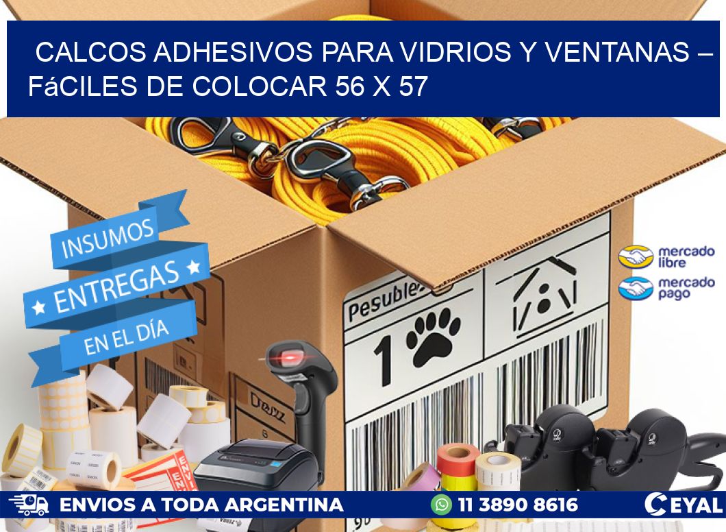 Calcos Adhesivos para Vidrios y Ventanas – Fáciles de Colocar 56 x 57